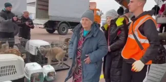До Білорусі прибули літаки з евакуйованими мешканцями Олешків Літаки з мешканцями окупованих Олешків прибули до білоруського Гомеля