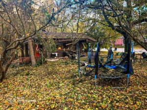 Russian strike on a park in the Kharkiv region: three people killed