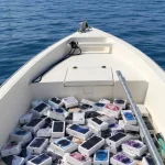 Thousands of iPhones in the Strait of Hormuz? What is known about the sunken ship?