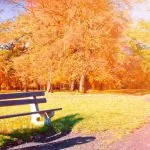 «Бабине літо» повертається: в Україні прогнозують до +22°C