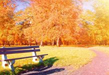«Indian summer» is back: temperatures of up to +22°C are forecast in Ukraine Indian summer is back: temperatures in Ukraine are set to rise to +22°C