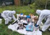 Понад 20 кг наркотиків щомісяця: в Україні накрили дві лабораторії Правоохоронці досліджують вилучене обладнання та речовини після викриття нарколабораторій