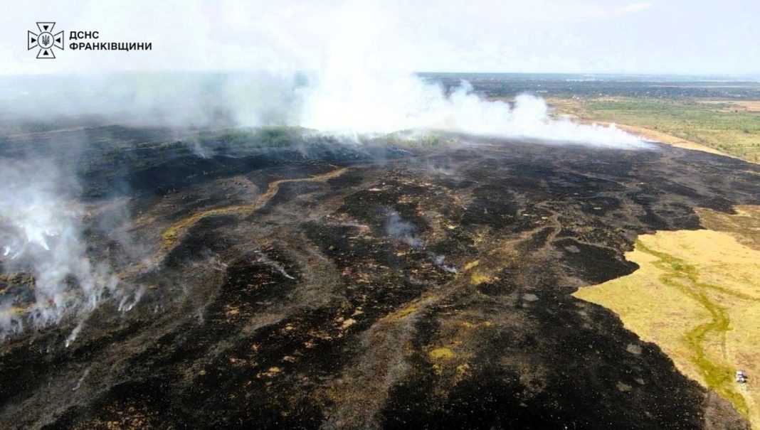 An area of dry vegetation that has been burnt A burnt patch of dry vegetation, with smoke rising above it