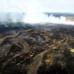 На Прикарпатті за добу сталося 34 пожежі в екосистемах