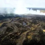 На Прикарпатті за добу сталося 34 пожежі в екосистемах
