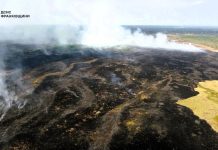 Вигоріла ділянка сухої рослинності, над якою здіймається дим