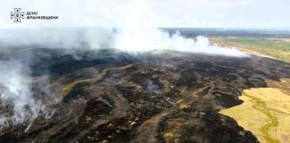 In the Carpathian region, 34 fires broke out in ecosystems over the past 24 hours A burnt patch of dry vegetation, with smoke rising above it