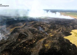 На Прикарпатті за добу сталося 34 пожежі в екосистемах Вигоріла ділянка сухої рослинності, над якою здіймається дим