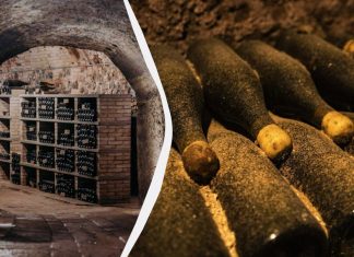 30,000 bottles of Antinori wine, worth €5 million, were stolen in Tuscany 30,000 bottles of wine worth €5 million have been stolen in Italy