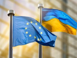 Дипломат ЄС розкритикував дизельну домовленість Трампа з Путіним ЄС розкритикував угоду Трампа з Путіним щодо дизеля
