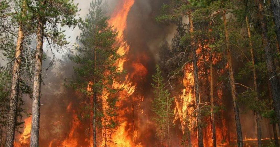 Радіаційна загроза для Білорусі через дим ЧАЕС